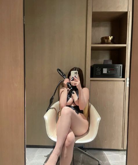 与君歌电视剧免费观看