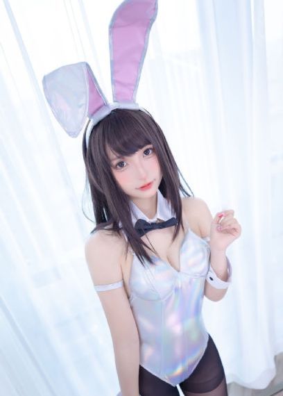 加菲猫家族