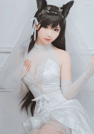 钟爱宝性大赛无删减版